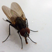 Alexander Supp - Makro