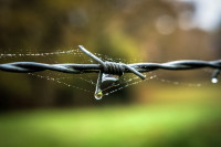 Gabi Michalski - Offene Blende - Bokeh