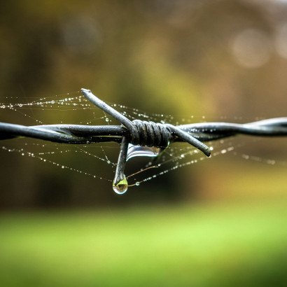 Gabi Michalski - Offene Blende - Bokeh