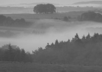 Monika Graszynski - Landschaft schwarz-weiss 