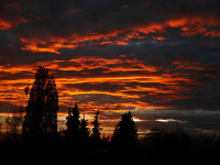 Monika Graszynski - Wolken