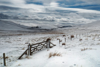 freiesthema 2 2 web 20190312