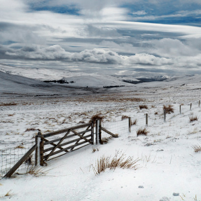 freiesthema 2 2 web 20190312