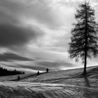 freiesthema 6 20190312