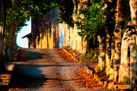 stille04 20141218 stille04 20141218
