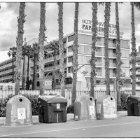 Sichtschutz aus Palmen