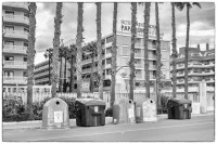 Sichtschutz aus Palmen