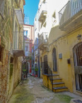 DSC05648a DSC05648a