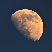 MOND mit goldenen Henkel.