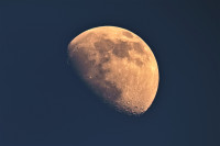 MOND mit goldenen Henkel.