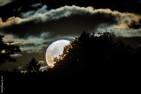 Supermond Supermond