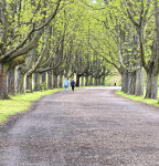 Auf dem Weg am Decksteinerweiher 