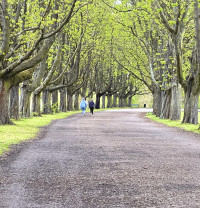 Auf dem Weg am Decksteinerweiher 