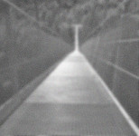 Klarer Weg gibt es nicht