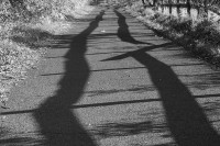 Morgenschatten auf dem Weg