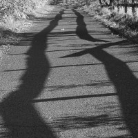 Morgenschatten auf dem Weg