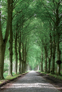 NATUR PUR NATUR PUR