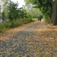 Wanderweg Wanderweg
