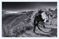 Weg der Gelassenheit