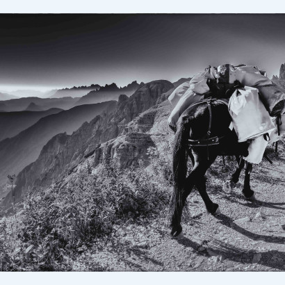 Weg der Gelassenheit