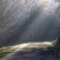 Weg im Morgenlicht  Weg im Morgenlicht