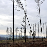 Außer der Reihe am Heckberg