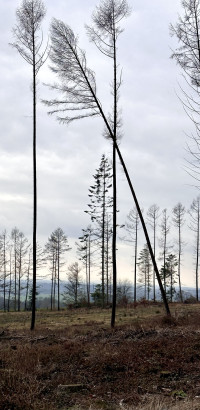 Au&szlig;er der Reihe am Heckberg