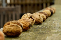 Eine ist angeknabbert