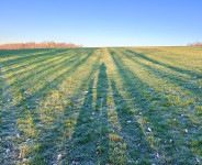 In der Reihe, aus der Reihe