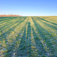 In der Reihe, aus der Reihe