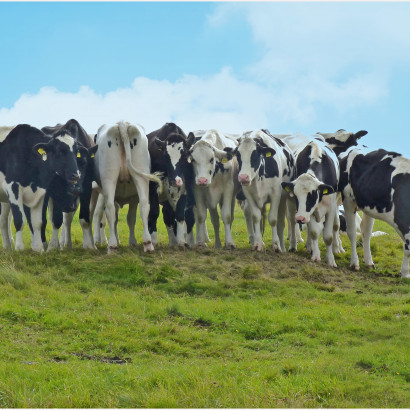 Stellt euch in ne grad Reih...