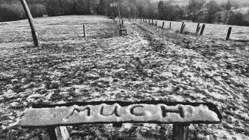 20221216 schwarz weiss hoher kontrast