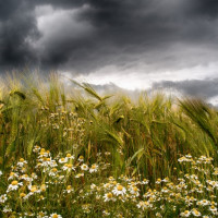 15 Helmut May - Zeit für den Regenschirm
