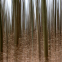 16 Jürgen Uhl - Hochwald