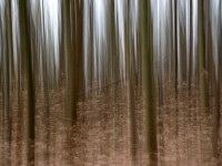 16 Jürgen Uhl - Hochwald