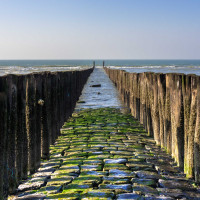 25 Norbert Kauer-SeeBlick