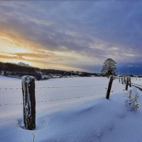 32 Joachim Konradi - Schneelandschaft