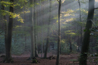 46 Stephan Tewes - Morgenlicht