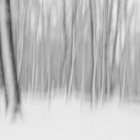 48 Stephan Tewes - Winterholz