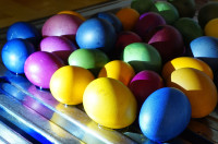  dsc4229 20240406