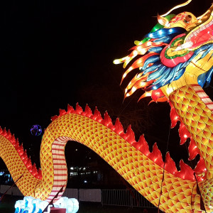 Available Light - Lichtarten finden und einsetzen