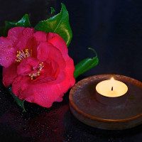 abendstimung auf meiner fensterbank  20240404