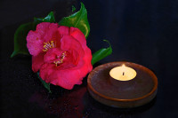 abendstimung auf meiner fensterbank  20240404