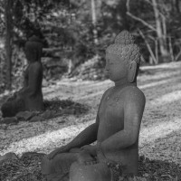 licht und schatten 20240406