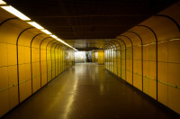 yellow underground 20240407