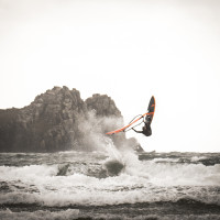 08334D56-4CF4-4BCA-A35A-47761B35E252