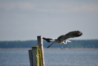 Abflug 