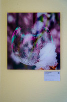 dsc00184 dsc00184