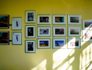dsc00236