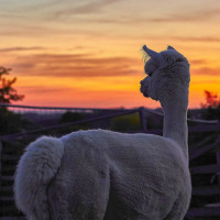 Fototour Fototour 1 DSC01135